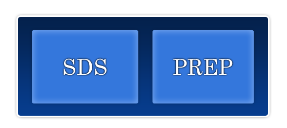 sds_prep_title001