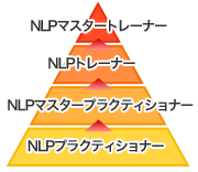 マスタートレーナーまで資格取得可能